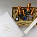 عطر ادکلن هاوس آو د دراگون سیوردیا پرفیومز - House Of The Dragon Siordia Parfums - بررسی، قیمت و خرید