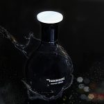 عطر ادکلن رویال ارث او دو پرفیوم د هارمونیست - Royal Earth Eau de Parfum The Harmonist - بررسی، قیمت و خرید