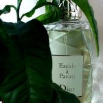 عطر ادکلن کروز کالکشن اسکاله ا پاراتی دیور - Cruise Collection Escale a Parati Dior - بررسی، قیمت و خرید