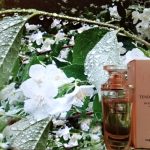 عطر ادکلن تندر جاسمین ایوروشه - Tendre Jasmin Yves Rocher - بررسی، قیمت و خرید