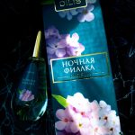 عطر ادکلن نوچنایا فیالکا دیلیس پرفیوم - Nochnaya Fialka Dilís Parfum - بررسی، قیمت و خرید