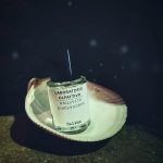 عطر ادکلن سالینا لبراتوریو الفاتیوو - Salina Laboratorio Olfattivo - بررسی، قیمت و خرید