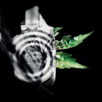 عطر ادکلن منت رلیجوسا روس اند روس - Mentha Religiosa Roos & Roos - بررسی، قیمت و خرید