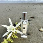 عطر ادکلن وود سیج اند سی سلت جو مالون لندن - Wood Sage & Sea Salt Jo Malone London - بررسی، قیمت و خرید