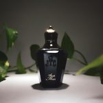 عطر ادکلن اسکات مون زرجف - Ascot Moon Xerjoff - بررسی، قیمت و خرید