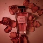 عطر ادکلن فروت د لا کرئاتیویته گرس - Fruit de La Créativité Grès - بررسی، قیمت و خرید