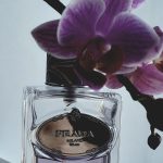 عطر ادکلن اینفیوژن د توبرز پرادا - Infusion de Tubereuse Prada - بررسی، قیمت و خرید