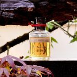 عطر ادکلن بِرِزا دی سِتا کاله فراگرانزه د آوتوره - Brezza di Seta Cale Fragranze d’Autore - بررسی، قیمت و خرید