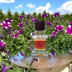 عطر ادکلن نیگریتلا ذا بادی شاپ - Nigritella The Body Shop - بررسی، قیمت و خرید