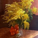 عطر ادکلن سوییت میموسا پوکروفکا تریدینگ هاوس - Sweet Mimosa Pokrovka Trading House - بررسی، قیمت و خرید