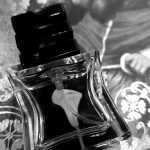 عطر ادکلن نمبر بیست و دو اس جی هفتاد و نه اس تی اچ ال ام - Nº 22 SG79 STHLM - بررسی، قیمت و خرید