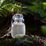 عطر ادکلن لو مگنولیا دُ روزین له پارفوم دو روزین - Le Magnolia de Rosine Les Parfums de Rosine - بررسی، قیمت و خرید