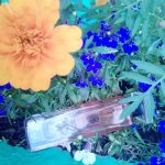 عطر ادکلن بیل بلَس فور وومن بیل بلاس - Bill Blass for Women Bill Blass - بررسی، قیمت و خرید