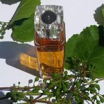 عطر ادکلن کازابلانکا سوئیس عربین - Casablanca Swiss Arabian - بررسی، قیمت و خرید