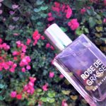 عطر ادکلن رز د گراس ژان آرتیس - Rose de Grasse Jeanne Arthes - بررسی، قیمت و خرید