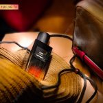 عطر ادکلن کویر ایو سن لوران - Cuir Yves Saint Laurent - بررسی، قیمت و خرید