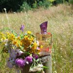 عطر ادکلن لِشاپِه بِله اوژن - L'Echappee Belle Eau Jeune - بررسی، قیمت و خرید