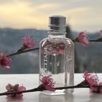 عطر ادکلن فلور دو سریزیه لوکسیتان - Fleurs De Cerisier L'Occitane en Provence - بررسی، قیمت و خرید