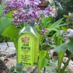 عطر ادکلن لایلاک وجتال پینود کلابمن - Lilac Vegetal Pinaud Clubman - بررسی، قیمت و خرید