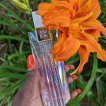 عطر ادکلن بورا بورا لیز کلیبورن - Bora Bora Liz Claiborne - بررسی، قیمت و خرید