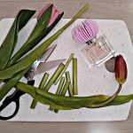 عطر ادکلن آنا بلو مارین - Anna Blumarine - بررسی، قیمت و خرید