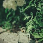 عطر ادکلن فریزیا سانتا ماریا نوولا - Fresia Santa Maria Novella - بررسی، قیمت و خرید