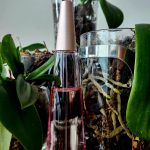 عطر ادکلن لو د ایسه فلورال ایسی میاکه - L'Eau d'Issey Florale Issey Miyake - بررسی، قیمت و خرید