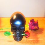 عطر ادکلن اد هاردی اسکولز اند رزز فور هیم کریستین اودیجر - Ed Hardy Skulls & Roses for Him Christian Audigier - بررسی، قیمت و خرید