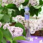 عطر ادکلن رمانتیکا بروکارد - Romantica Brocard - بررسی، قیمت و خرید