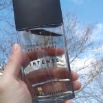 عطر ادکلن لئو دی ایسی پور هوم اینتنس ایسی میاکه - L'Eau d'Issey Pour Homme Intense Issey Miyake - بررسی، قیمت و خرید