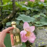 عطر ادکلن آکوا الگریا فلورا نیمفیا گرلن - Aqua Allegoria Flora Nymphea Guerlain - بررسی، قیمت و خرید