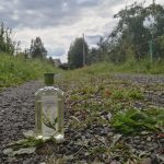 عطر ادکلن لندیش نوایا زاریا - Ландыш (Muguet) Новая Заря (The New Dawn) - بررسی، قیمت و خرید