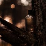 عطر ادکلن بوتگا ونتا پور هوم بوتگا ونتا - Bottega Veneta Pour Homme Bottega Veneta - بررسی، قیمت و خرید