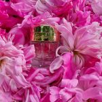 عطر ادکلن بزه ووله کارتیر - Baiser Vole Cartier - بررسی، قیمت و خرید