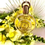 عطر ادکلن گارْدِنیا اِم میکالف - Gardenia M. Micallef - بررسی، قیمت و خرید