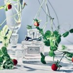 عطر ادکلن میس دیور بلومینگ بوکت دیور - Miss Dior Blooming Bouquet Dior - بررسی، قیمت و خرید