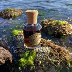 عطر ادکلن ترژر آیلند لجندری فراگرنسز - Treasure Island Legendary Fragrances - بررسی، قیمت و خرید