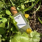 عطر ادکلن آیِر لووِه لووی - Aire Loewe Loewe - بررسی، قیمت و خرید