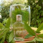 عطر ادکلن ورون لوکستان ان پرووانس - Verveine L'Occitane en Provence - بررسی، قیمت و خرید