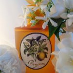 عطر ادکلن برگاموتو مونوتم ونیزیا - Bergamotto Monotheme Venezia - بررسی، قیمت و خرید