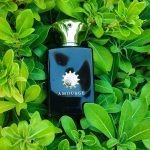 عطر ادکلن مموآر من آمواژ - Memoir Man Amouage - بررسی، قیمت و خرید