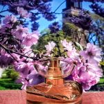 عطر ادکلن چریش اِیوان - Cherish Avon - بررسی، قیمت و خرید
