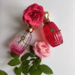 عطر ادکلن رُز پُمپون اُ دو پارفَم گوتال - Rose Pompon Eau de Parfum Goutal - بررسی، قیمت و خرید