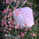 عطر ادکلن استلا این تو پئونی استلا مک‌کارتنی - Stella in Two Peony Stella McCartney - بررسی، قیمت و خرید