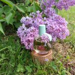 عطر ادکلن ماتسو ماساکی ماتسوشیما - Matsu Masaki Matsushima - بررسی، قیمت و خرید