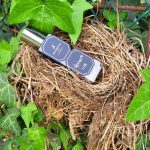عطر ادکلن هورنرو فگیا ۱۸۳۳ - Hornero Fueguia 1833 - بررسی، قیمت و خرید