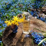 عطر ادکلن کارولینا هررا بای کارولینا هررا کارولینا هررا - Carolina Herrera by Carolina Herrera Carolina Herrera - بررسی، قیمت و خرید