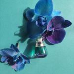 عطر ادکلن بیاند پارادایس استه لودر - Beyond Paradise Estée Lauder - بررسی، قیمت و خرید