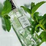 عطر ادکلن کروز کالکشن اسکاله ا پاراتی دیور - Cruise Collection Escale a Parati Dior - بررسی، قیمت و خرید