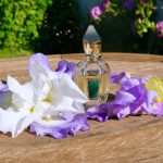 عطر ادکلن ایریس زرجف - Irisss Xerjoff - بررسی، قیمت و خرید